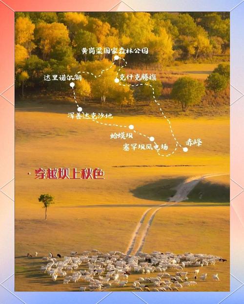 金秋海外自驾游,五条绝美路线推荐