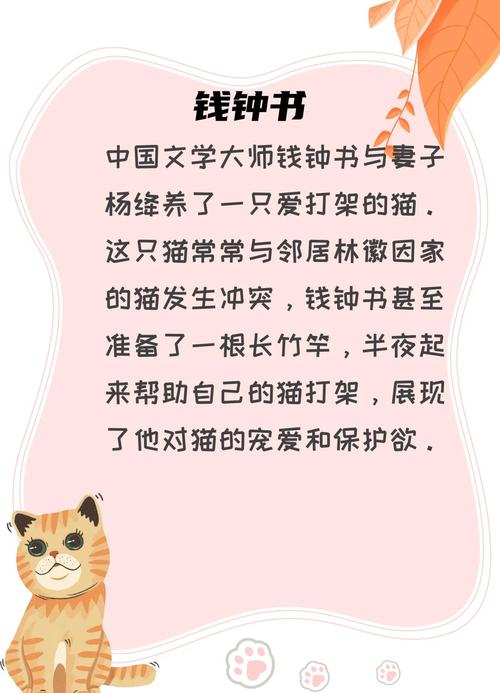 如果一个猫奴恰好是设计师的话......