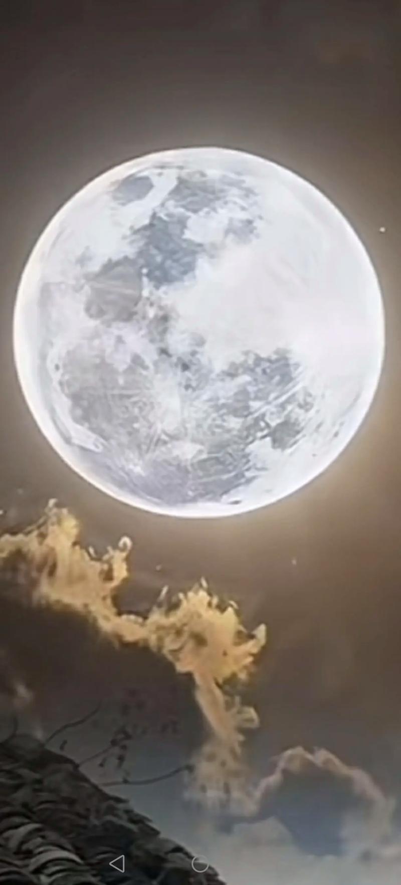 你看这月亮又亮又圆，像这“月饼包”，太可了！【当红新手袋】