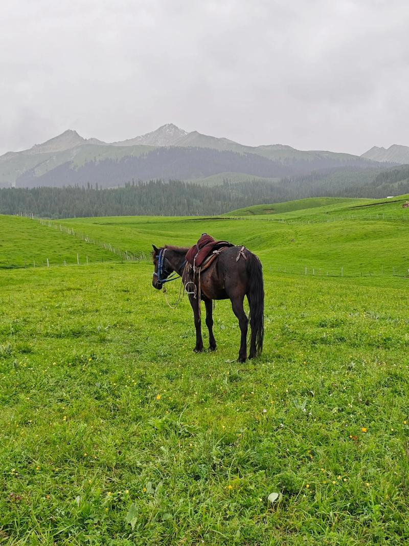 时尚芭莎90秒 ｜你想都不敢想的盛世美景，坐标中国