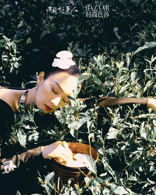 中国十二美人之“景迈访茶”