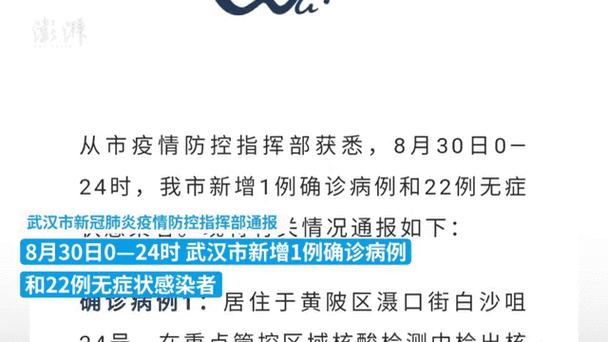 lv官网怎么购买,武汉出现确诊病例湖北首现病例