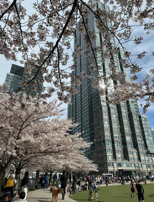 美得不可思议!全球首个地下公园Lowline