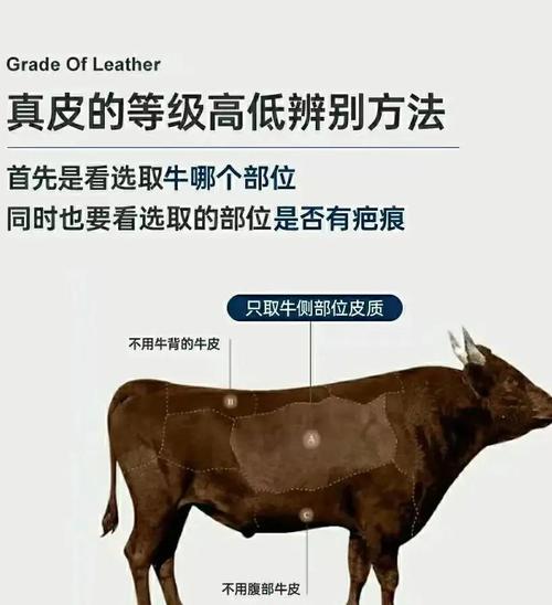 真皮包包怎么辨别,如何辨别真假包包?