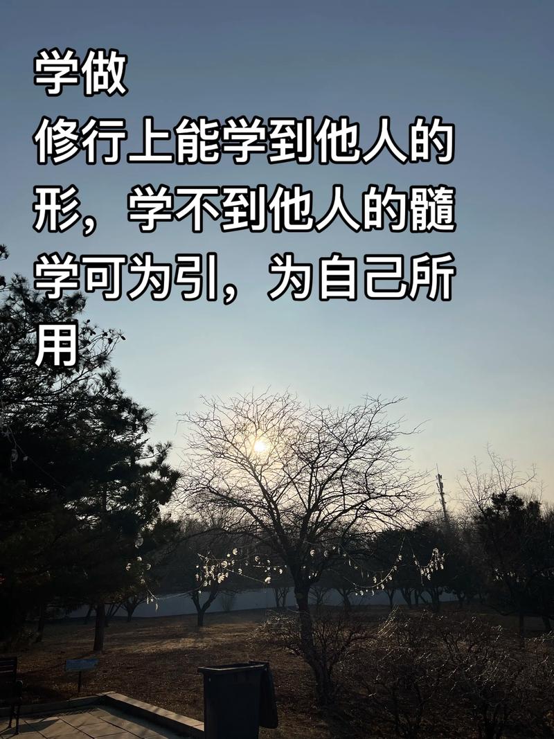 从“可学可不学”到“一定要学”,发生了什么?