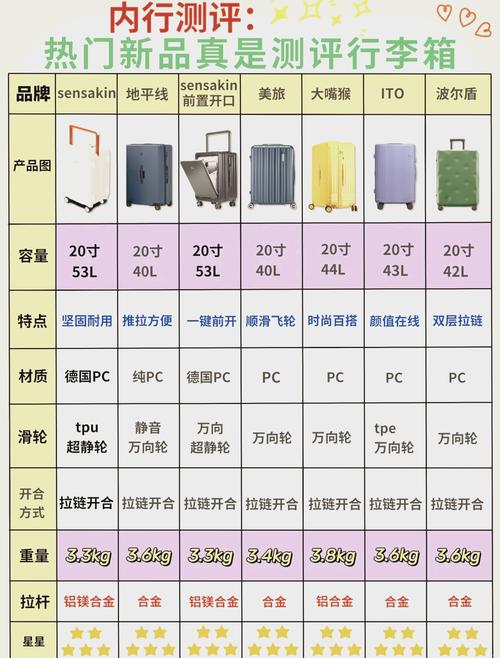 拉杆箱厂名,欧美发达国家车顶箱已经非常普及