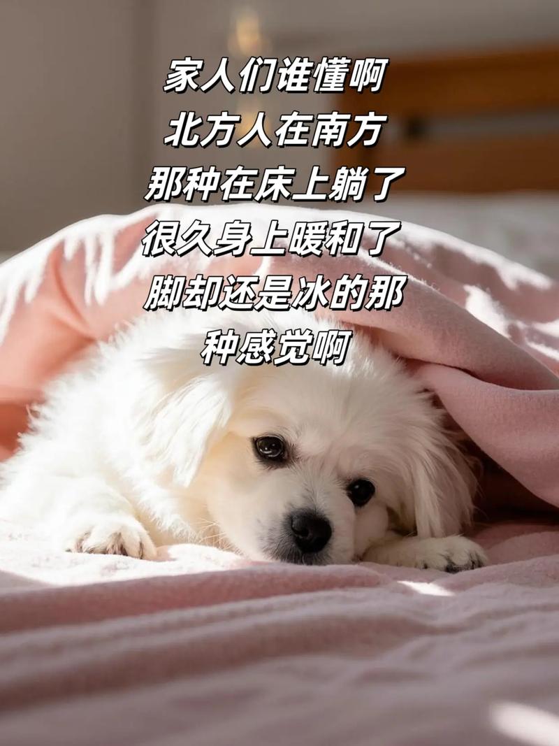 雪那么大,我只想穿睡衣窝在家