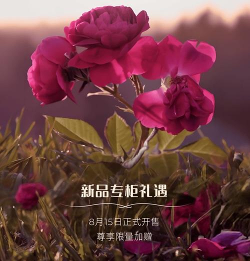 馥郁玫瑰,臻致礼遇