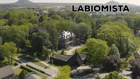 生命大熔炉！空降世界最疯的艺术养鸡工作室