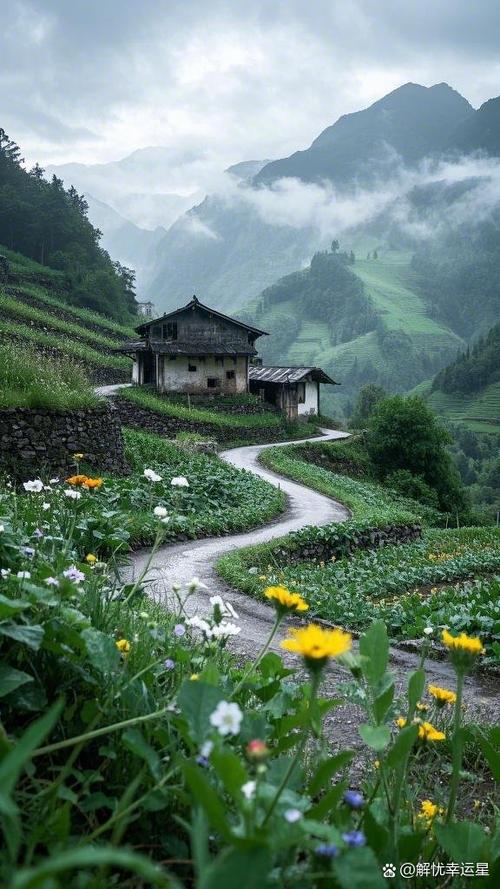 这里有令人向往的小清新