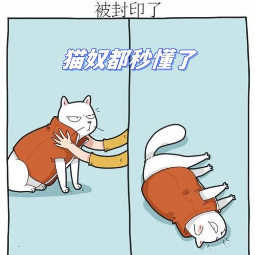 猫奴看过来了！这些设计让你和主子和谐共生！