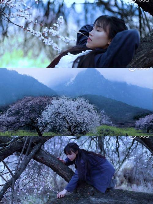 看归来的李子柒，过多彩的非遗年！