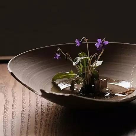 6dd75aba328ca37a49b6638ba91beb00