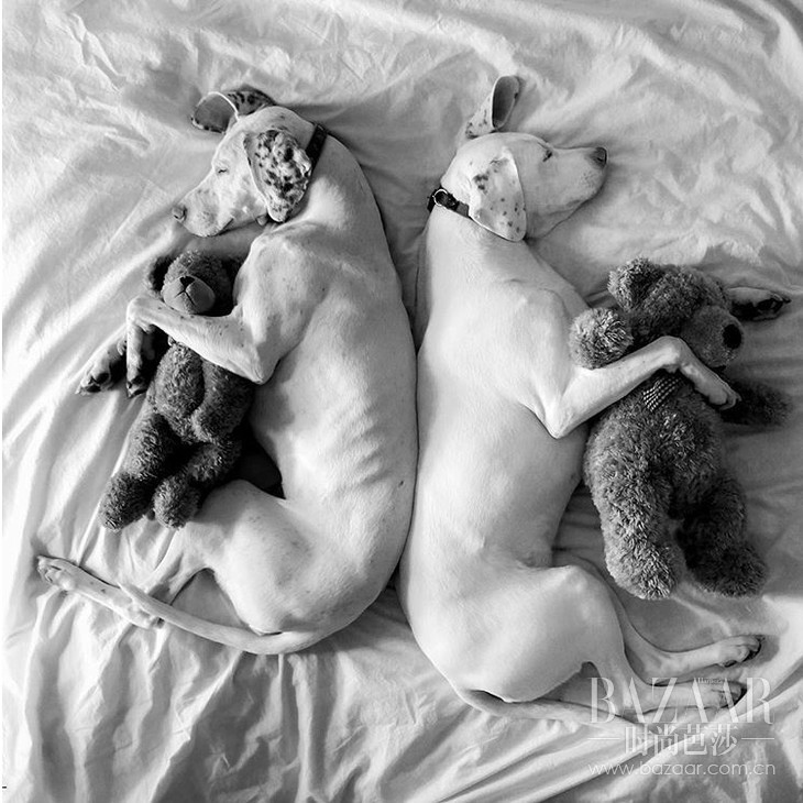 adaymag-3-cats-3gods-3kids-lovely-family-013