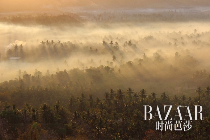 21cc4e0a04073e8280f2b1ee7abd23f8