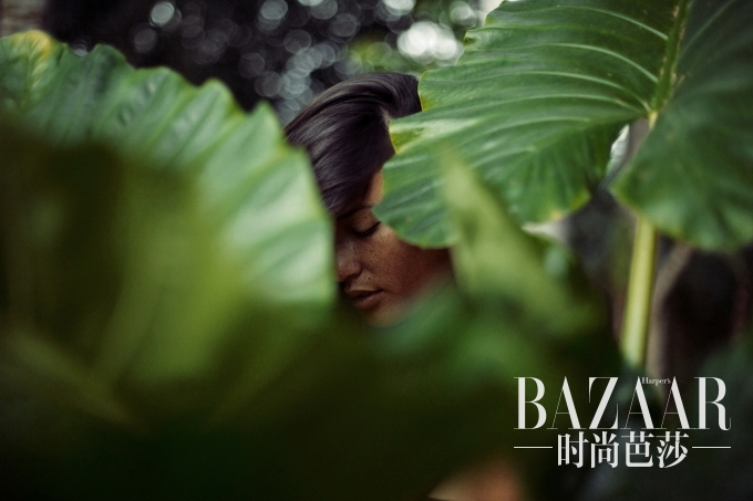 13de11dd43ff3d01b521a564ef8b38e5