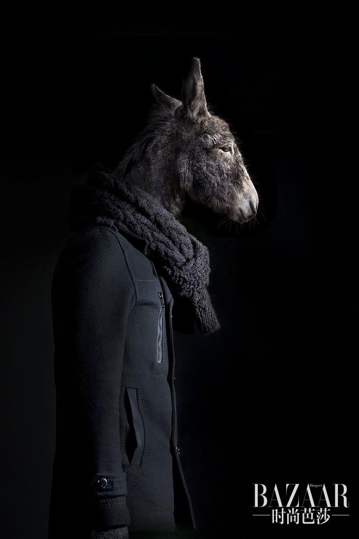 3212ddf7e99a381191b488afd598f46e