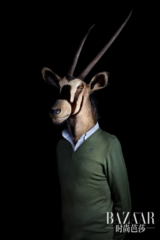 5ff34df942293e2ba0993bfe1c053ff0