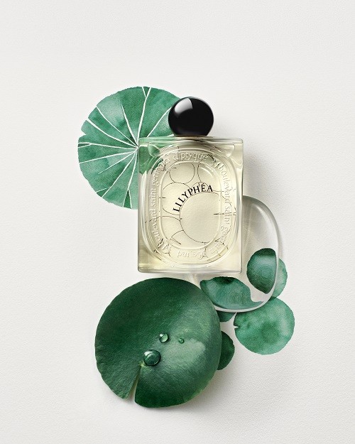 1725012845124207.jpg LES ESSENCES_2024_VISUEL MONO_LILYPH__A_RVB_2025x2532px_DIPTYQUE_ VISUAL ONLY.jpg