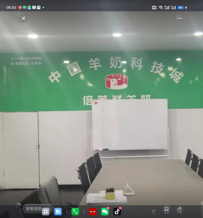 隆力奇新疆霍尔果斯工厂项目启动