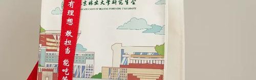 箱包定做,河南盛楠贸易有限公司定做学生包提升学校形象