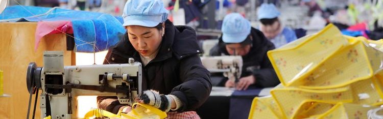 上海国际箱包,上海市奉贤区邮包工厂推出行李箱包