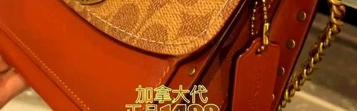 蔻驰山茶花是哪年的款,蔻驰山茶花包经典款香奈儿也有使用