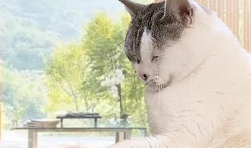 生图不崩的状态感,从哪儿来?