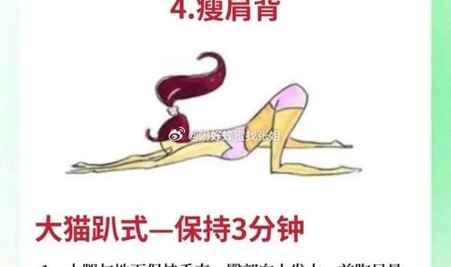 夏日来临前秒变瘦子，快get这些动作！A4腰和马甲线还会远吗？