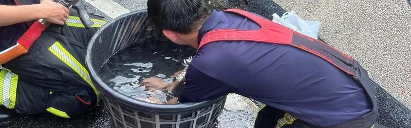 热到快融化？什么降温神器能让你感觉凛冬将至？