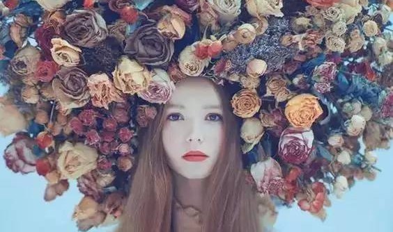 种了这么多年的花,花儿们的梦想你知道吗