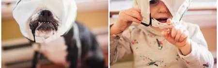 全世界最会晒娃的3位妈妈 都不会落下家里的小萌宠