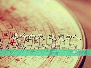 命里七杀多,是什么意思