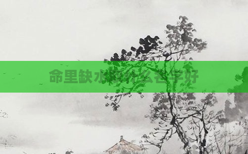 命里缺水取什么名字好