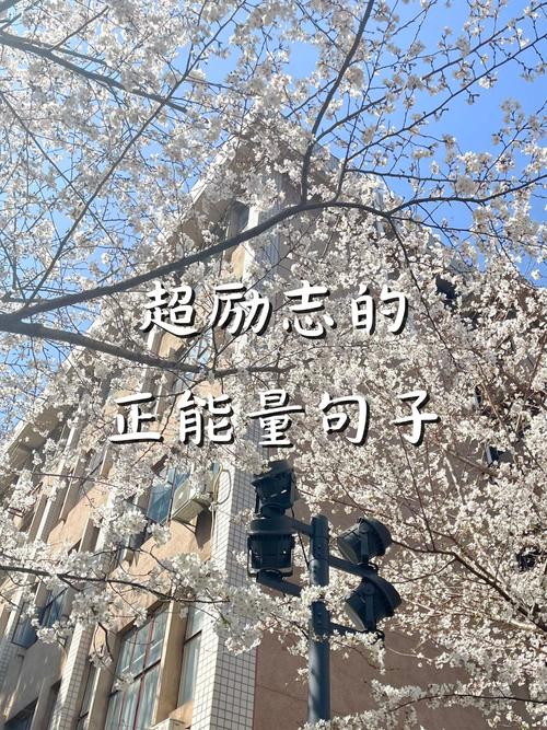 因为天生敢为，所以无所畏惧