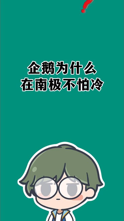 毛大衣穿不好变“企鹅”，可别怪我没提醒你！