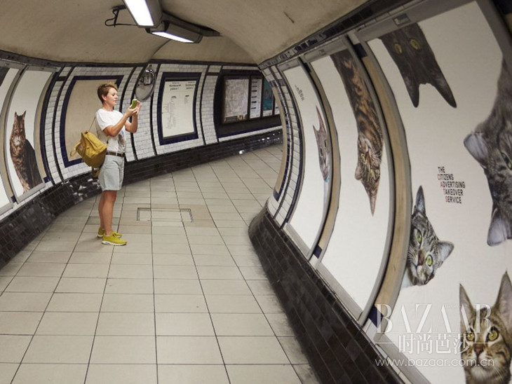 cat-ads-underground-subway-metro-london-1
