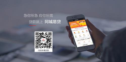 易钱包多少钱,钱包易贷不能取消审核条件：1