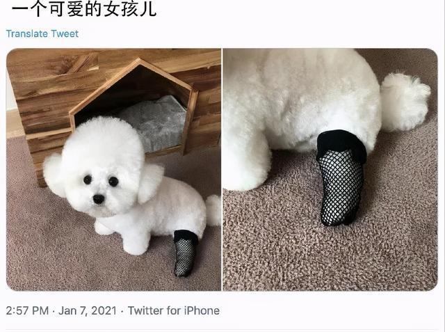 一穿它出现，怎么就赢得很大？