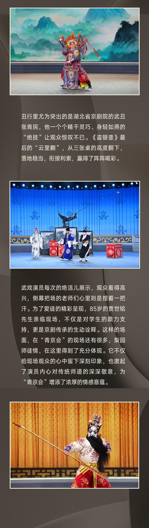 “青京会”：闻道前路，繁花如锦