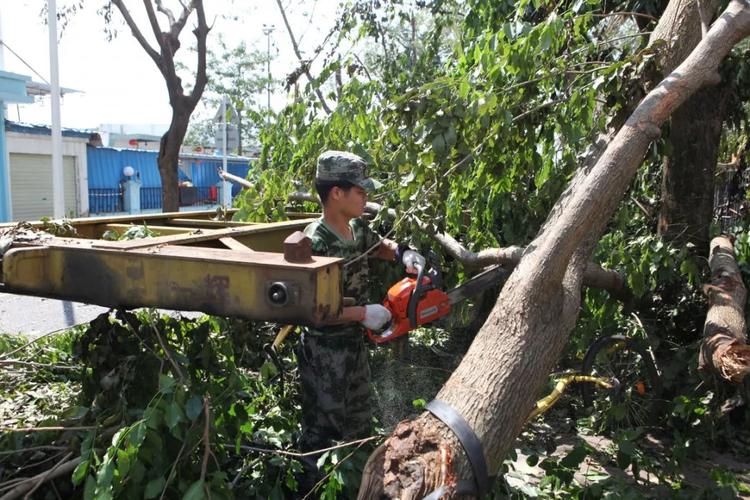 腾邦集团：勇担社会责任 展现时代担当